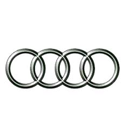 Цоколь светодиодных ламп Audi