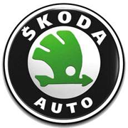 Цоколь светодиодных ламп Skoda